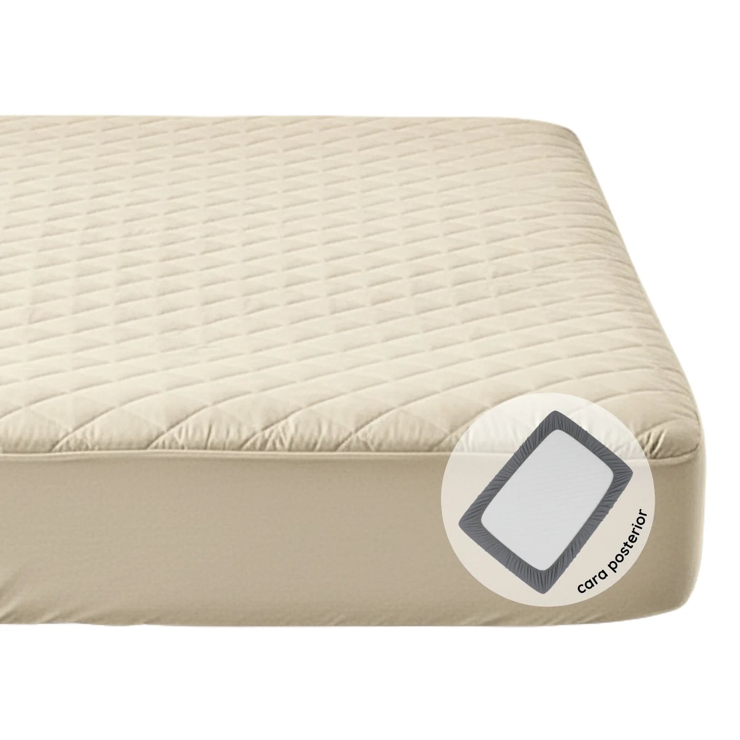 Protector de Colchón + Fundas + 🎁 OBSEQUIO 2 Almohadas