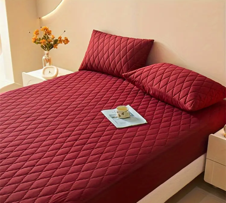 Protector de Colchón + Fundas + 🎁 OBSEQUIO 2 Almohadas